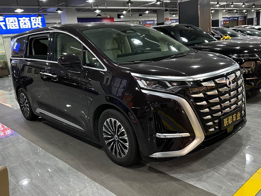 Denza D9 2024 imagen de coche #4