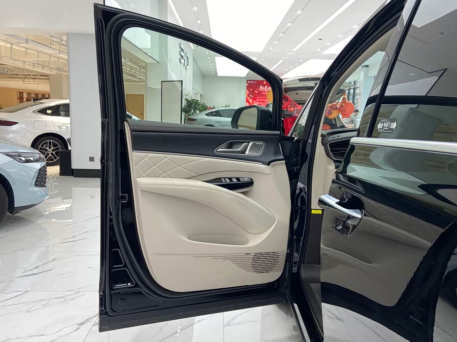 Denza D9 2024 car image #4