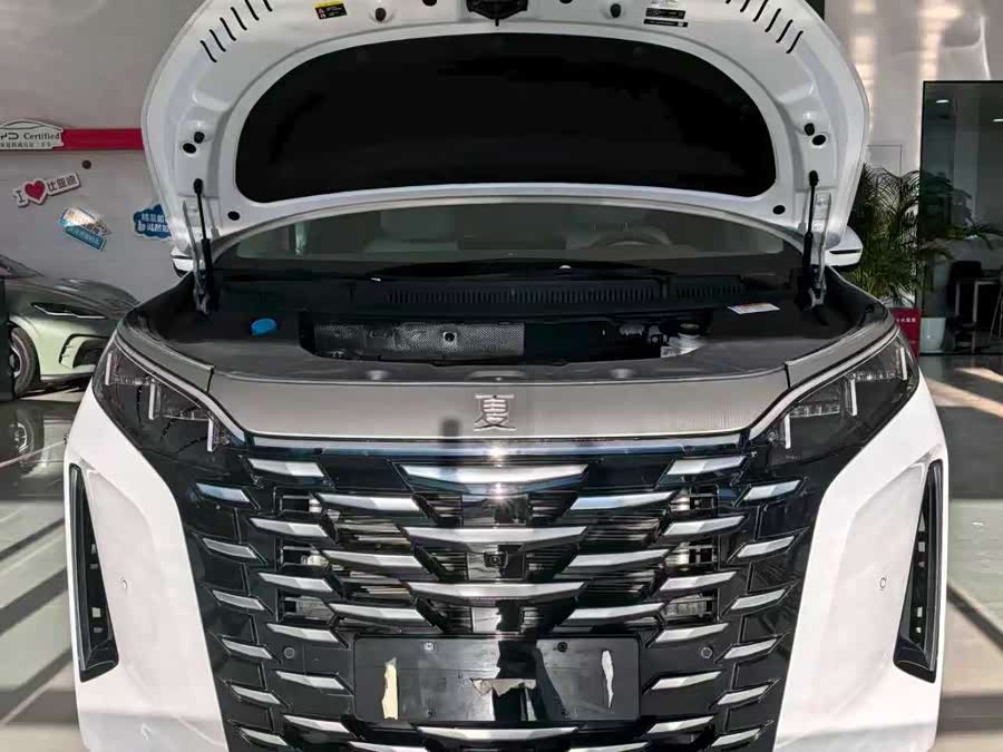 BYD Xia 2024 #4 BYD Xia 2024 imagen de coche #4