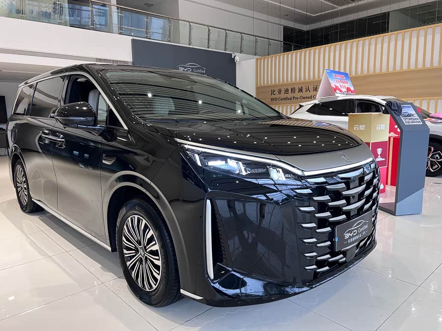 BYD Xia 2024 imagen de coche #4