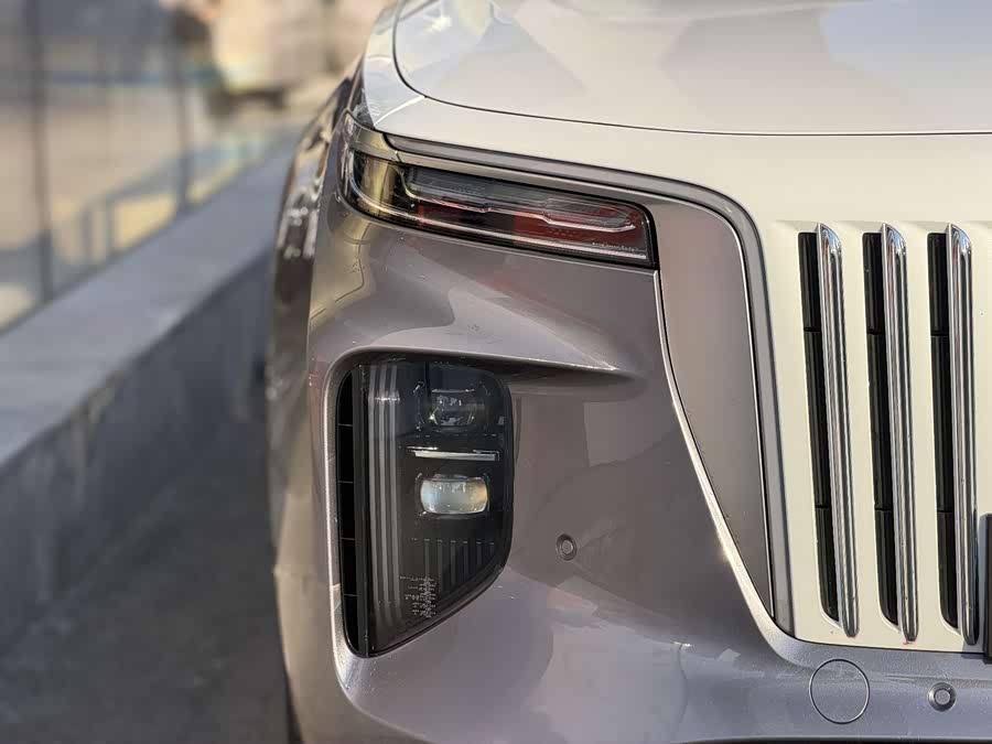 HongQi E-HS9 2022 imagen de coche #4