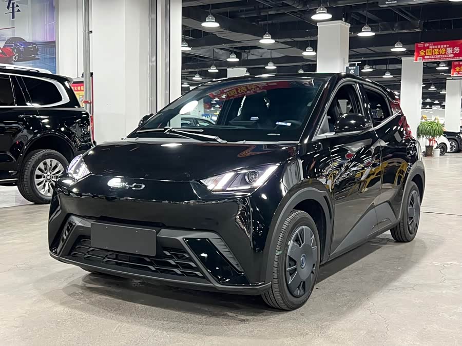 BYD Seagull 2025 car image #4