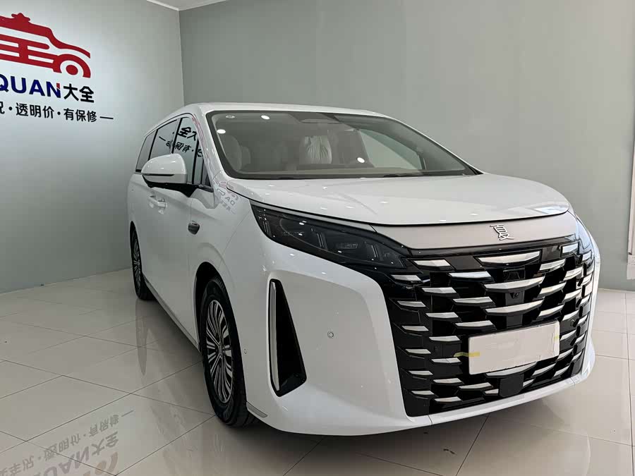 BYD Xia 2024 imagen de coche #4