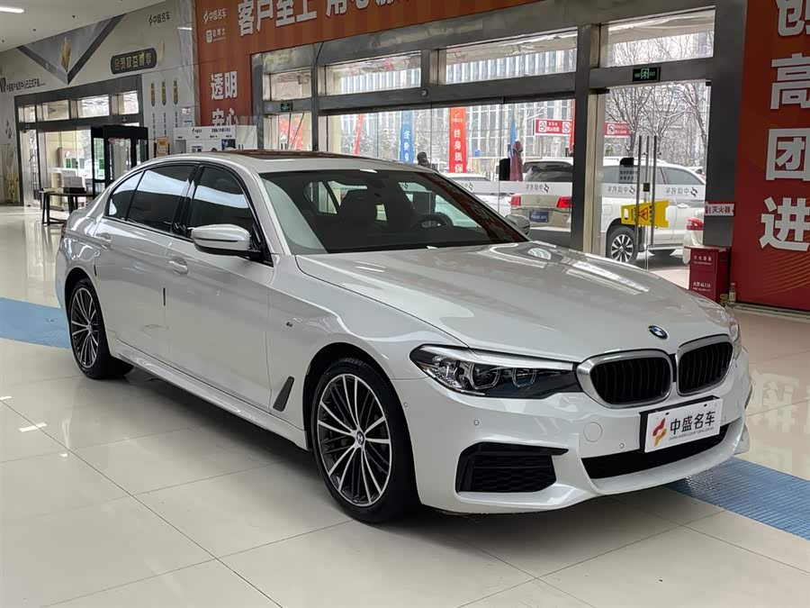BMW 5 Series 2019 car image #4