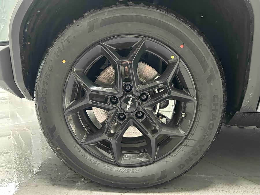 FangChengBao Tiger 3 2025 car image #4