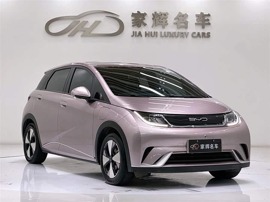 BYD Dolphin 2024 imagem de carro #4