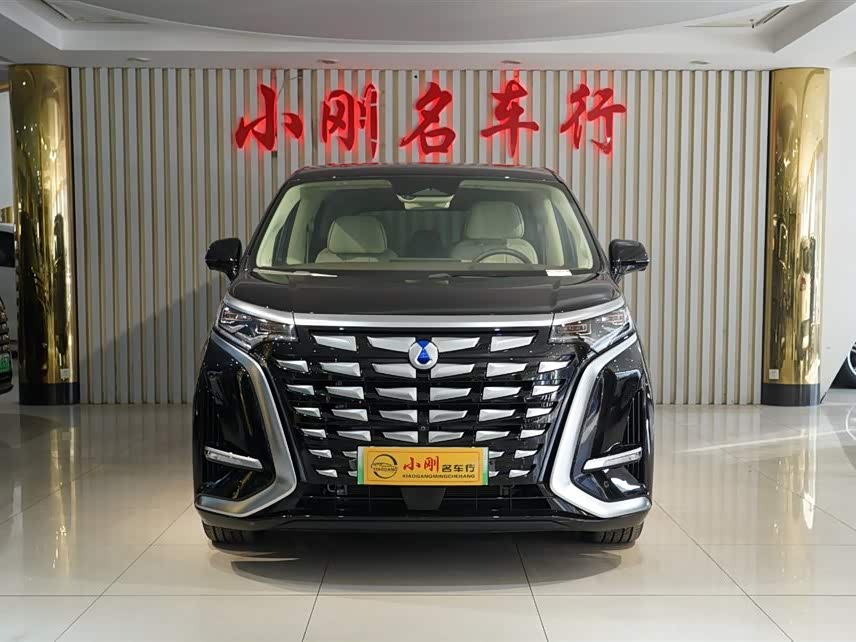 Denza D9 2024 imagem de carro #4