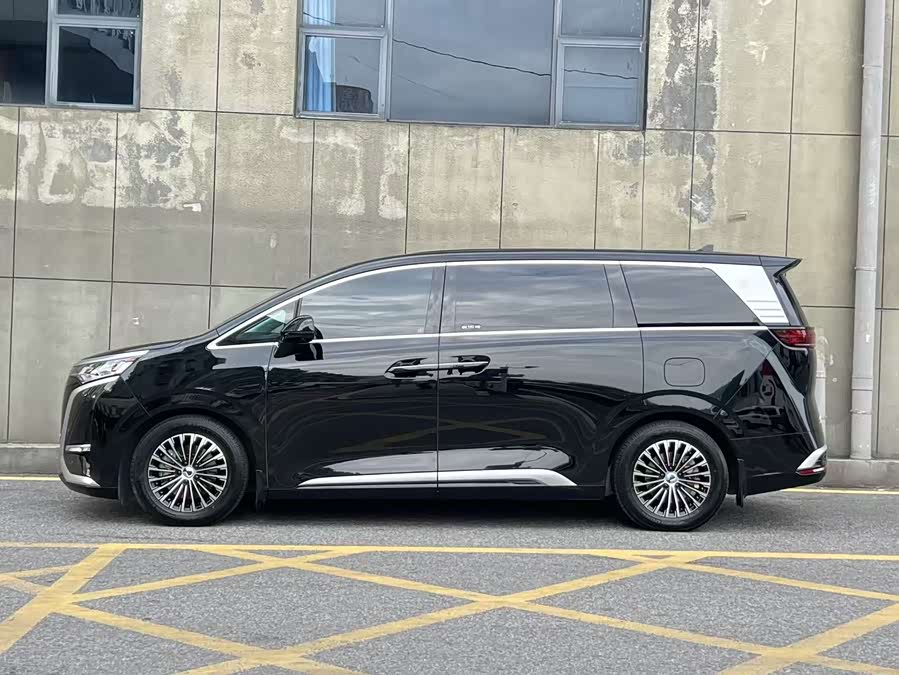 Denza D9 2024 car image #4