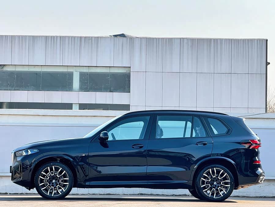 BMW X5 imagen de coche #4