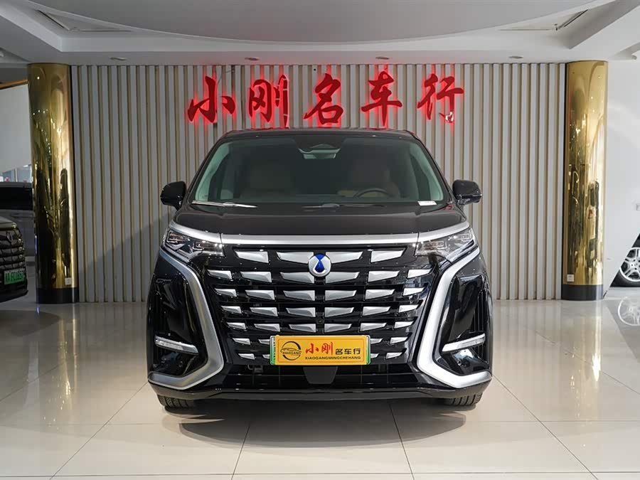 Denza D9 2025 imagen de coche #4