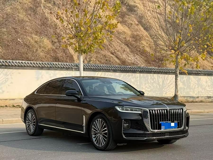 HongQi H9 2021 car image #4