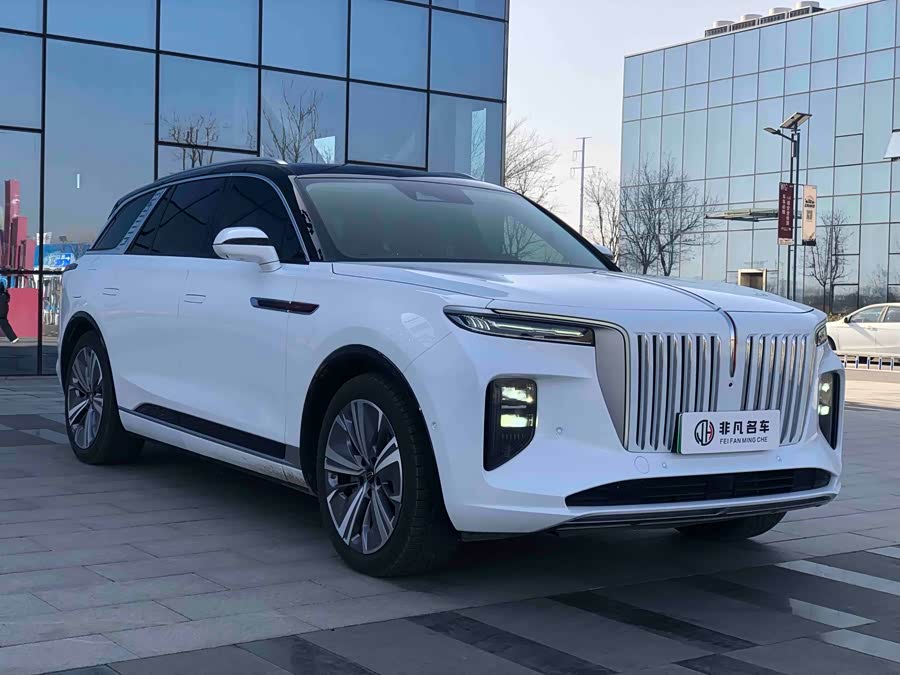 HongQi E-HS9 2021 car image #4