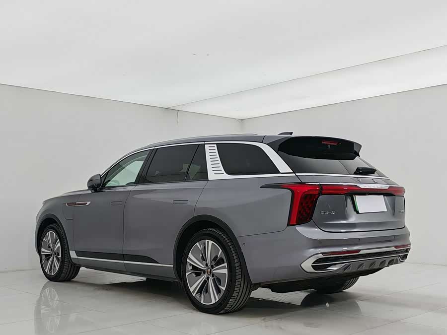 HongQi E-HS9 2023 car image #4