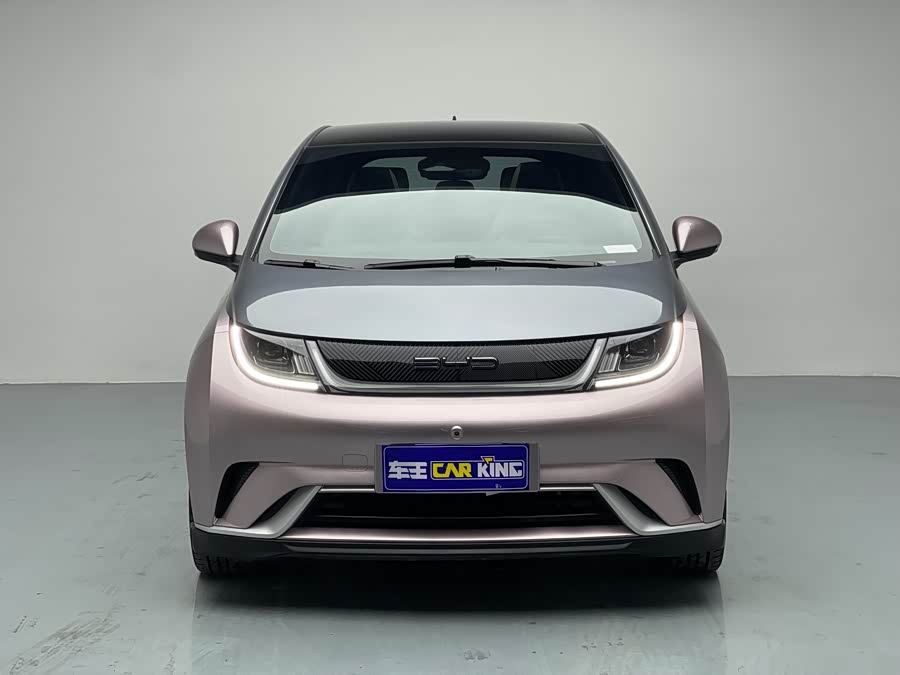 BYD Dolphin 2022 صورة سيارة #4