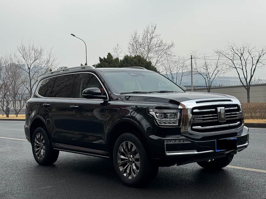 坦克 坦克500 2022 汽车图片 #4