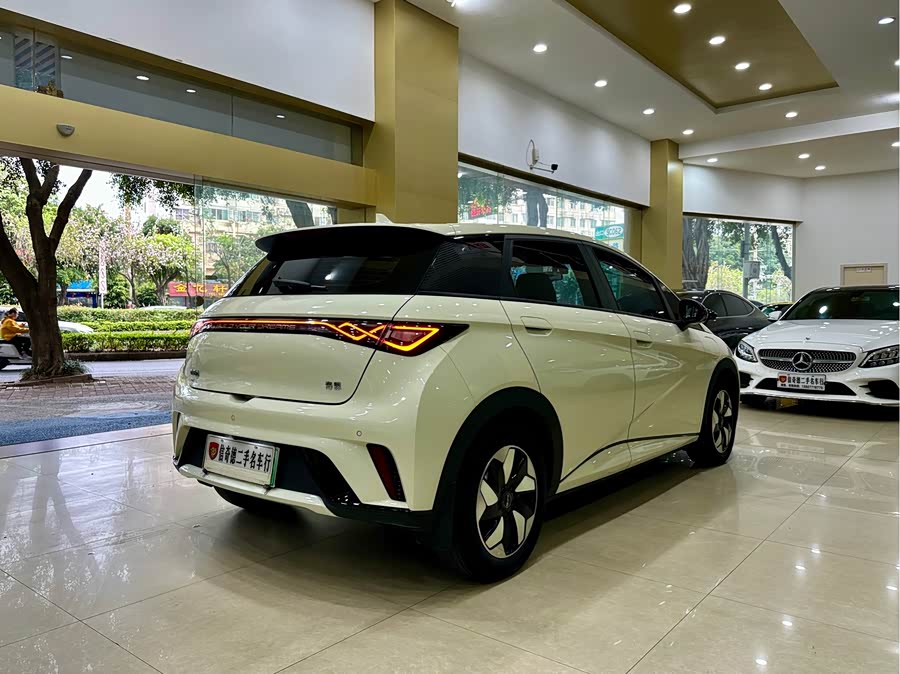 BYD Dolphin 2024 imagem de carro #4