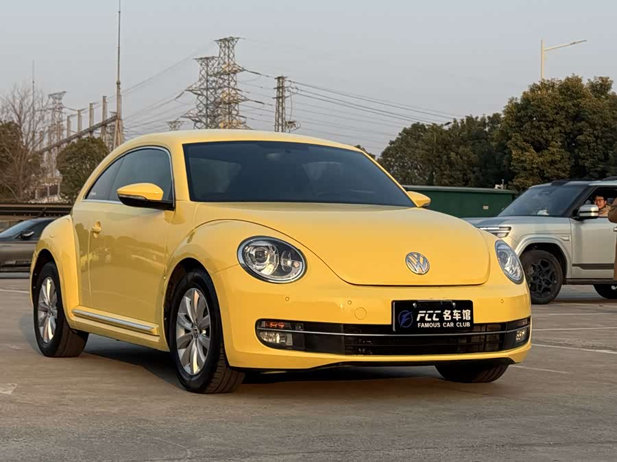 Volkswagen Beetle 2013 immagine di auto #4