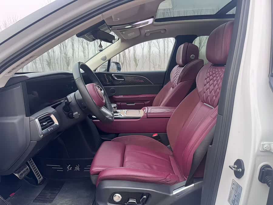 HongQi E-HS9 2021 immagine di auto #4