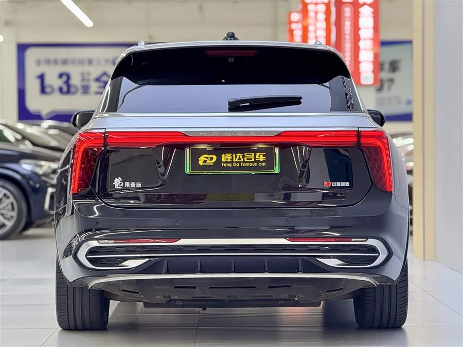 HongQi E-HS9 2021 image de voiture #4