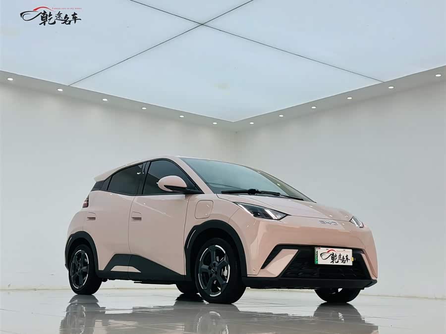 BYD Seagull 2024 car image #4