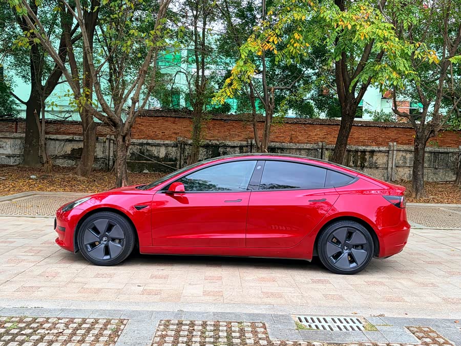 Tesla Model 3 2023 immagine di auto #4