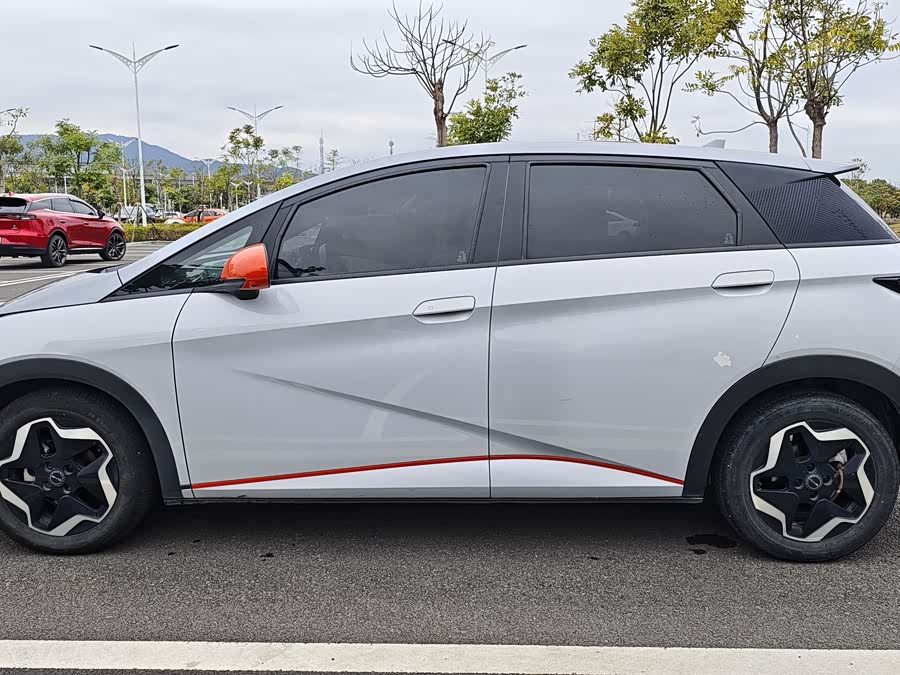 BYD Dolphin 2021 imagen de coche #4