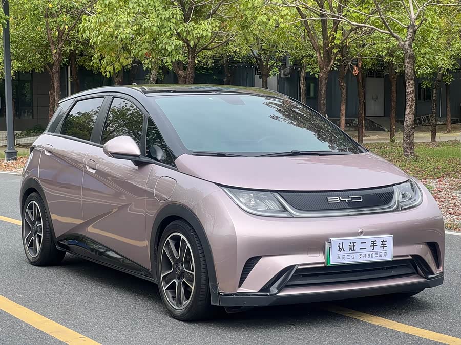 BYD Dolphin 2022 imagem de carro #4