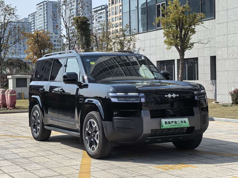 FangChengBao Tiger 7 2025 immagine di auto #4