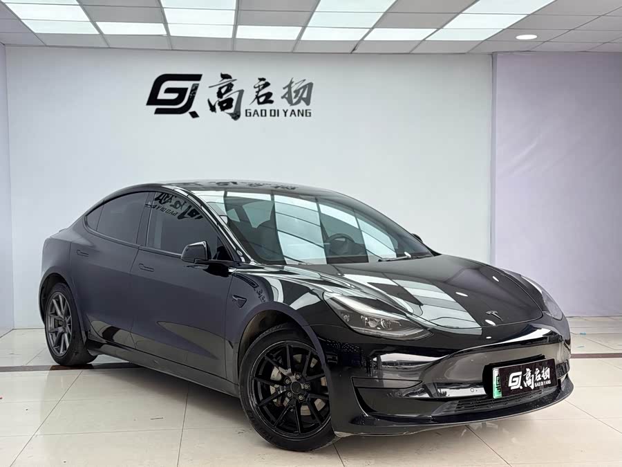 Tesla Model 3 2022 immagine di auto #4