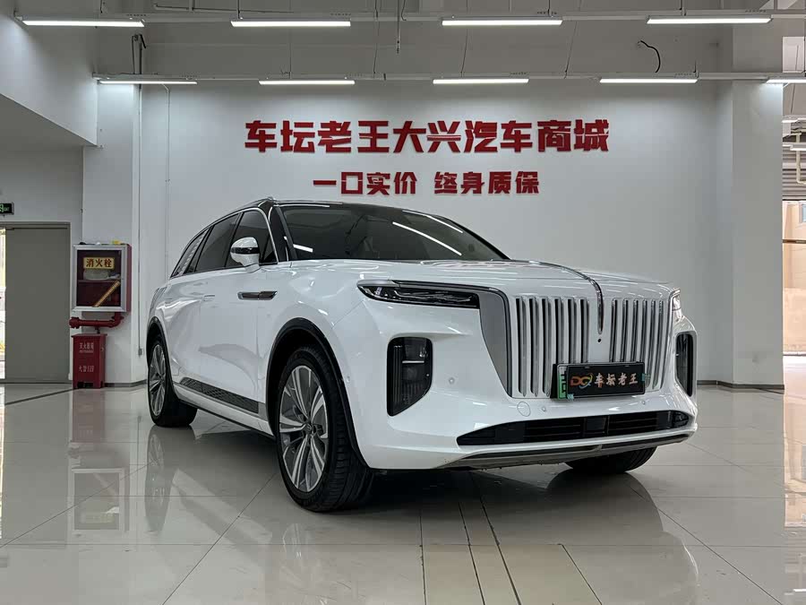 HongQi E-HS9 2023 immagine di auto #4