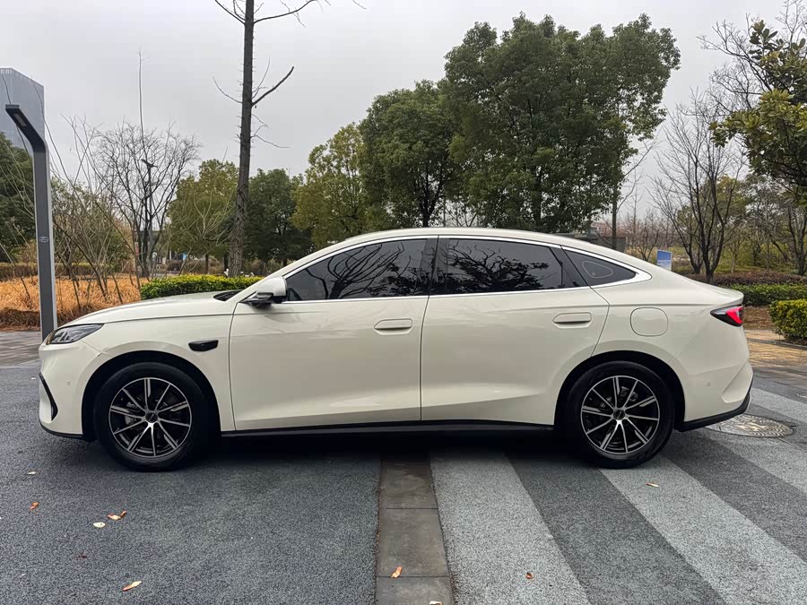 BYD Tang New Energy 2022 car image #4