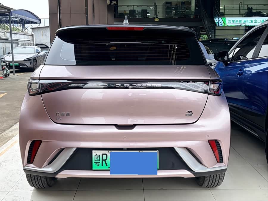 BYD Dolphin 2022 imagem de carro #4