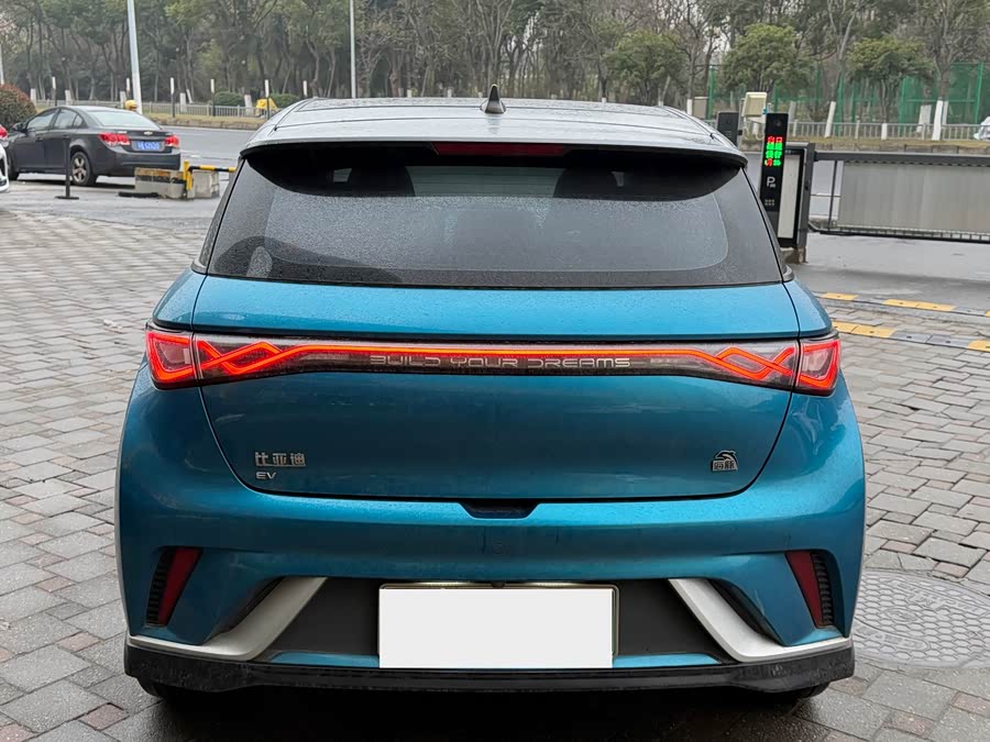 BYD Dolphin 2023 صورة سيارة #4