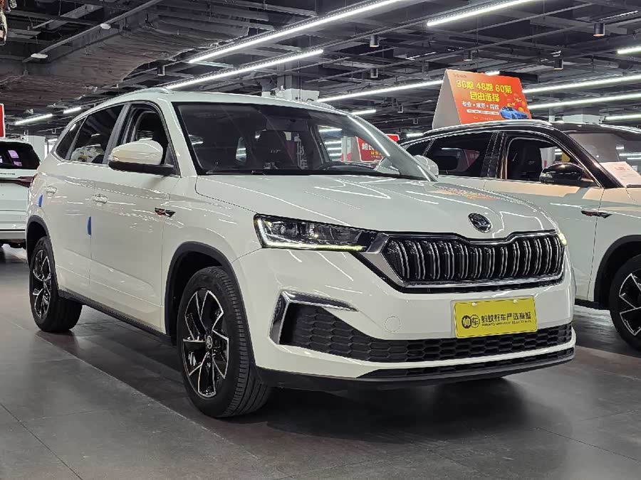 Skoda Kamiq 2019 #4 Skoda Kamiq 2019 car image #4
