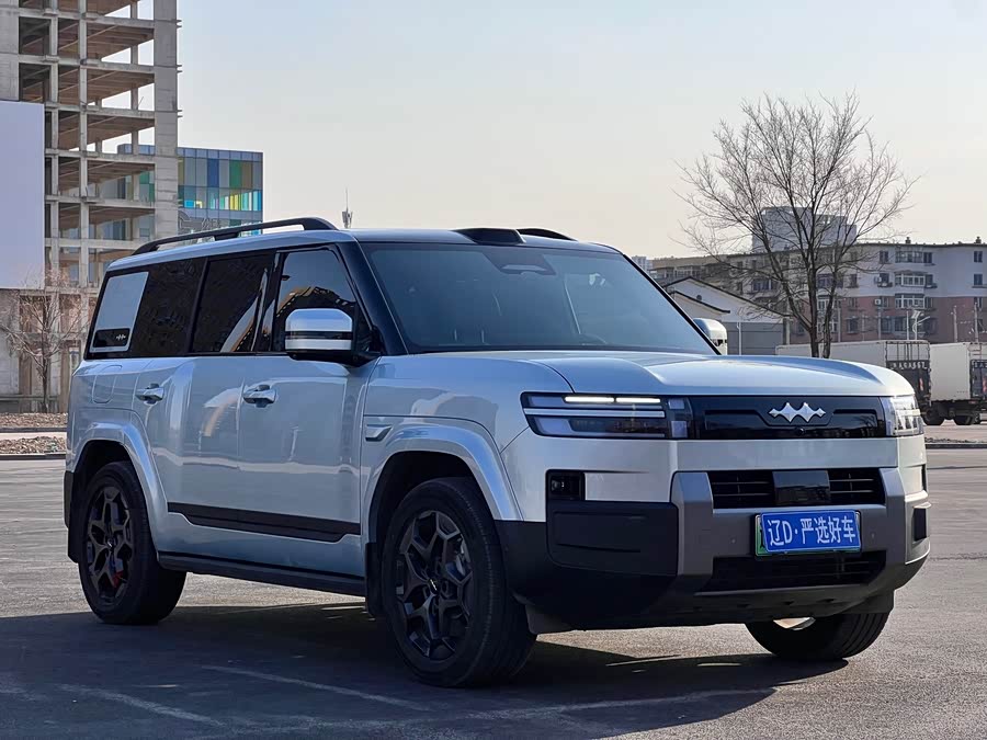 FangChengBao Tiger 7 2025 car image #4