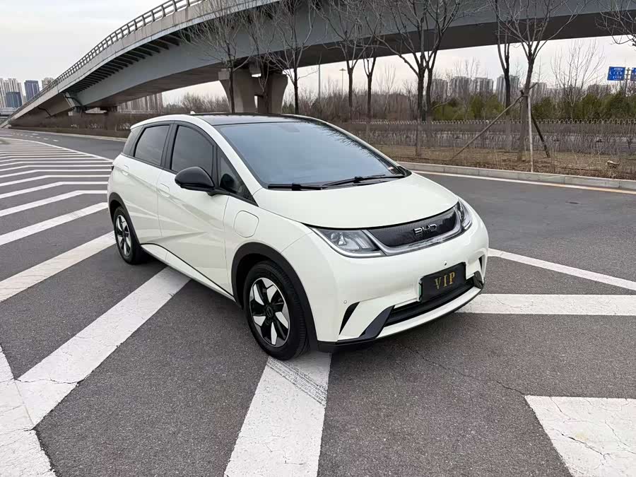 BYD Dolphin 2024 صورة سيارة #4