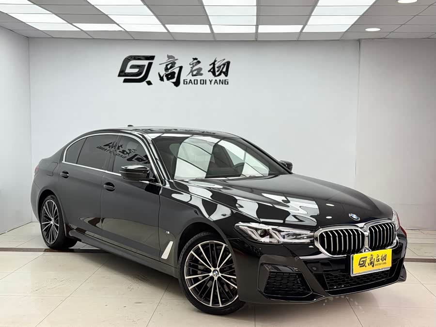 BMW 5 Series 2020 immagine di auto #4