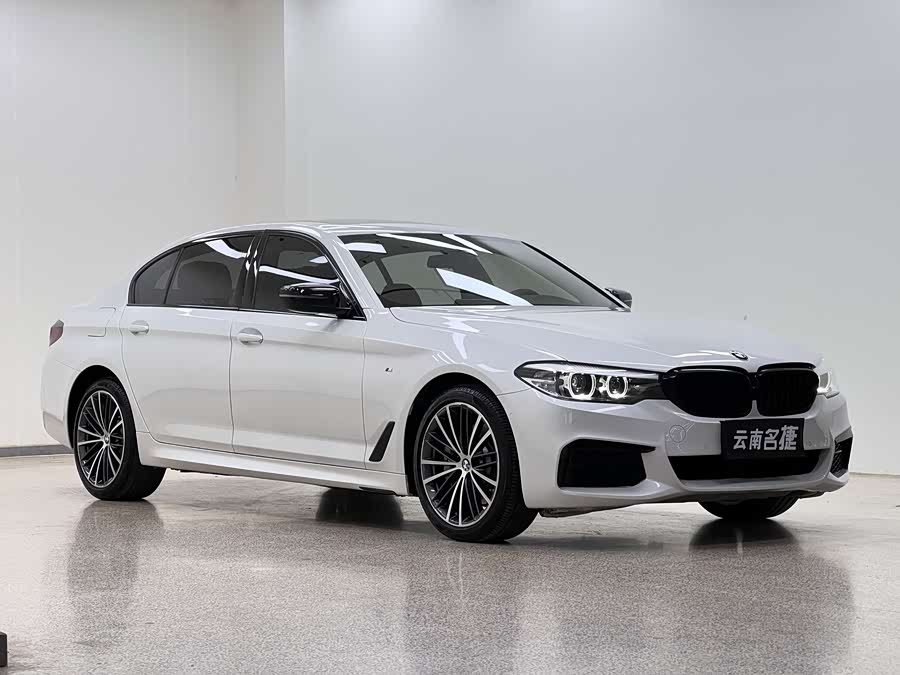 BMW 5 Series 2019 car image #4