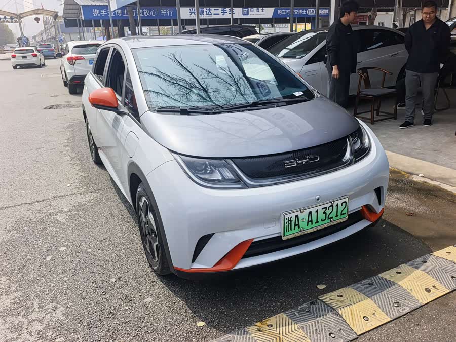 BYD Dolphin 2021 imagem de carro #4