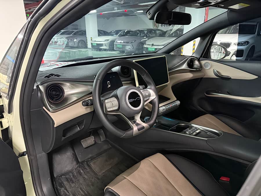 BYD Dolphin 2024 imagem de carro #4