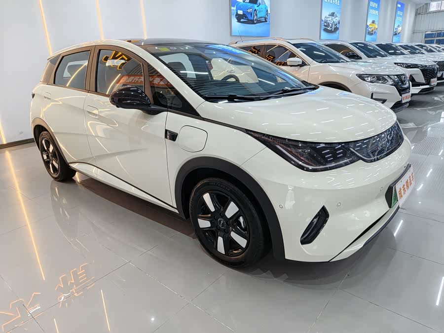 BYD Dolphin 2025 imagen de coche #4