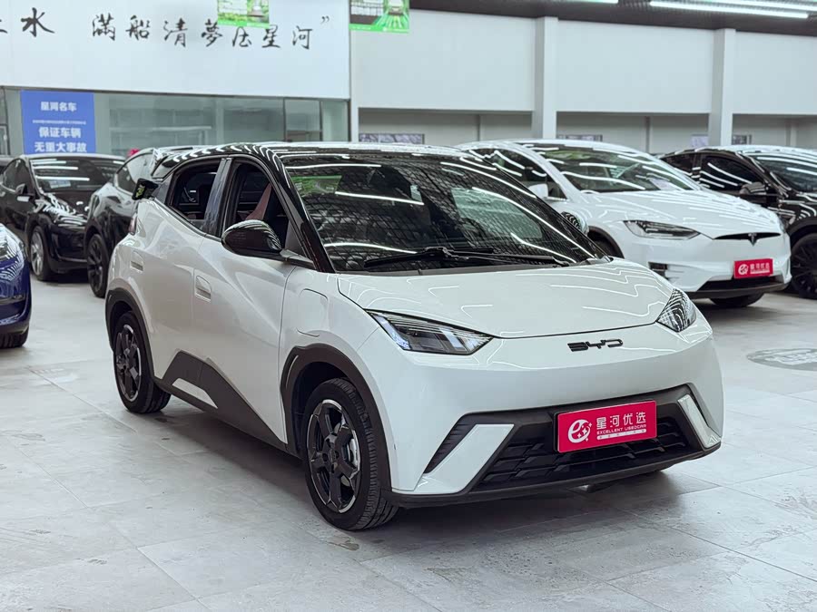 BYD Seagull 2024 immagine di auto #4