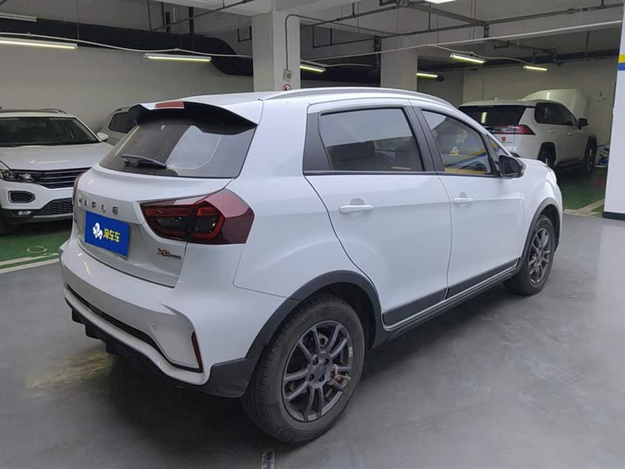 睿蓝汽车 睿蓝汽车X3 PRO 2022 汽车图片 #4