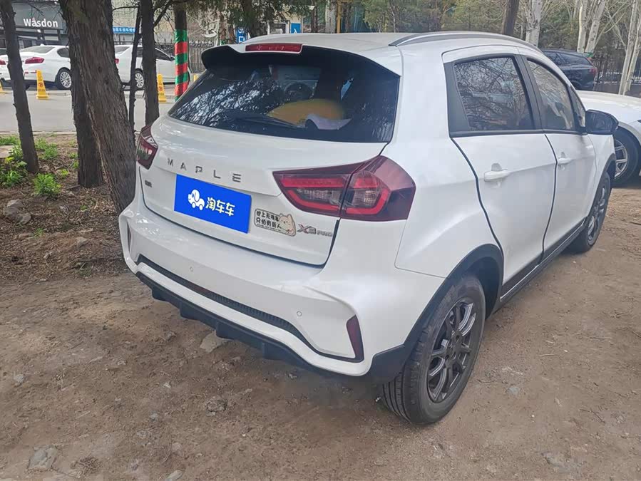 睿蓝汽车 睿蓝汽车X3 PRO 2022 汽车图片 #4