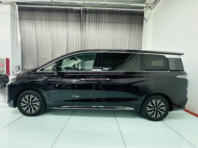 HongQi HQ9 PHEV 2024 immagine di auto #4