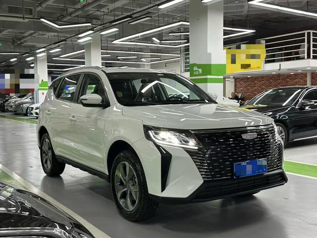 GEELY OkavangoPRO 2024 car image #4