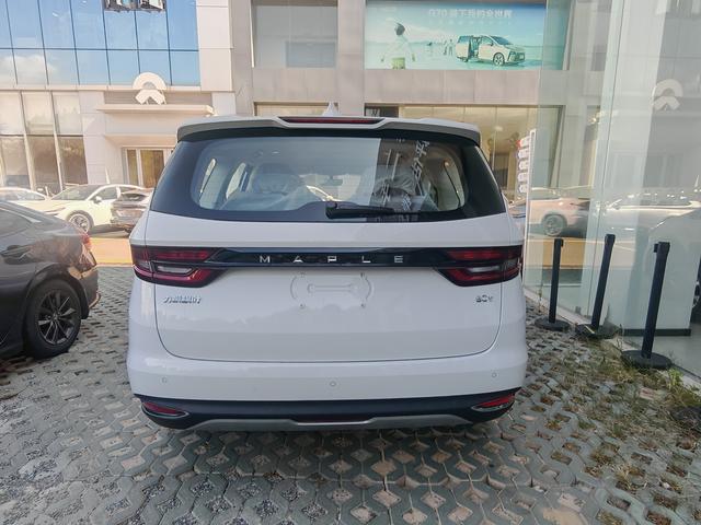 睿蓝汽车 枫叶80v PRO 2023 汽车图片 #4