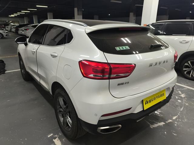 Haval F5 2019 immagine di auto #4