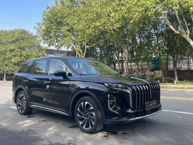 HongQi HS7 PHEV 2024 immagine di auto #4