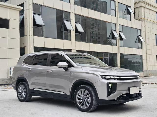 睿蓝汽车 睿蓝9 2023 汽车图片 #4